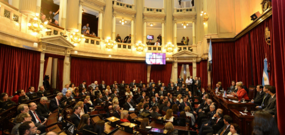 Polémica nacional: el Senado sepultó la Ley de Ficha Limpia y estalla la indignación ciudadana