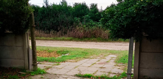 Indignación en San Pedro: robaron el portón de una escuela rural y dejaron el acceso cerrado con chapas