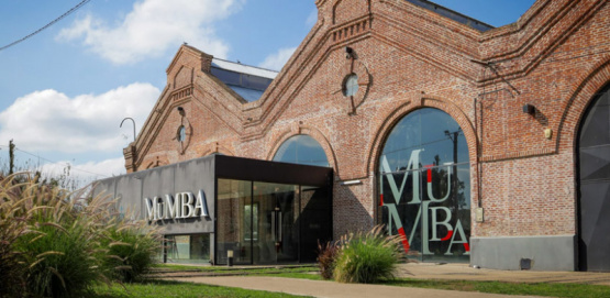 El arte de coleccionar: objetos únicos en una muestra imperdible en el MUMBA