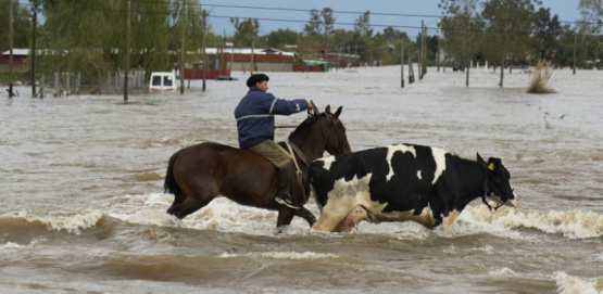El temporal arrasó el corazón agrícola: hay riesgo de perder una cosecha récord en el norte bonaerense