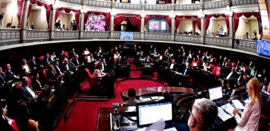 Reelecciones Indefinidas en la Provincia: Se cayó la sesión en el Senado bonaerense y la interna peronista no cede