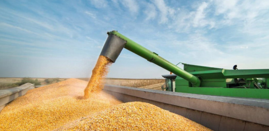 El agro argentino pierde 1 de cada 4 dólares que genera, se van al exterior o al 