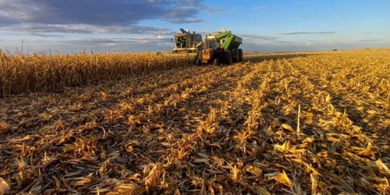 El 6% de los impuestos financia casi todo el Estado: El Campo, entre los más golpeados por la presión fiscal