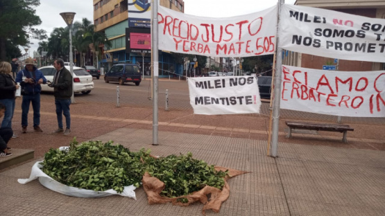 Karina Milei enfrentó protestas de yerbateros en Misiones por la desregulación del INYM 