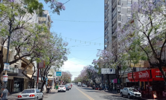 Robó un parlante en segundos y escapó en bicicleta: otro golpe exprés en pleno centro de Pergamino