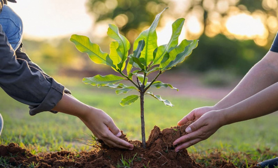 Día Mundial del Ambiente 2025: Pergamino impulsa una cruzada educativa contra la contaminación plástica