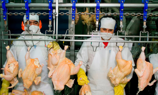 Carne aviar argentina: entre la madurez del consumo interno y la oportunidad exportadora