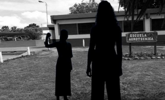 Violenta irrupción de una mujer en Escuela Agropecuaria terminó con una alumna agredida