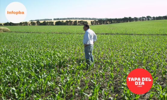“Las políticas agropecuarias excluyen a pequeños y medianos productores”