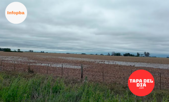 qué anticipa el pronóstico para la región agrícola