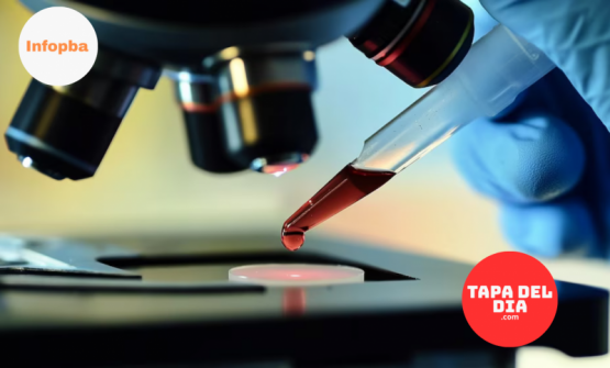 Histórico giro en la lucha contra el VIH: la OMS incorpora la terapia doble y reconoce aportes clave de la ciencia argentina