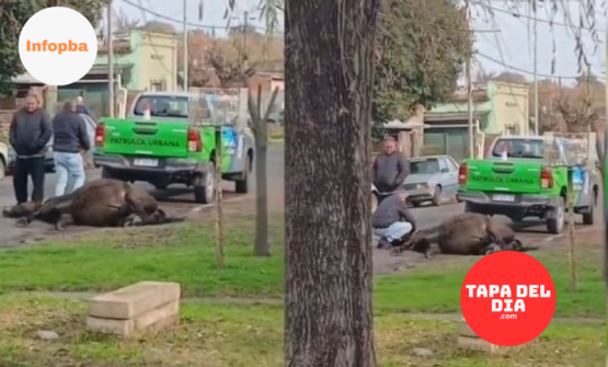 un caso que desató fuerte rechazo social