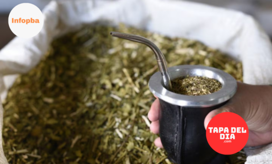 Ventas de yerba mate crecen 16% en el primer semestre impulsadas por el consumo interno y las exportaciones