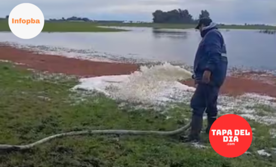 Productores de Bolívar y 9 de Julio enfrentan crisis hídrica: más de 2000 litros de leche desperdiciados por caminos intransitables