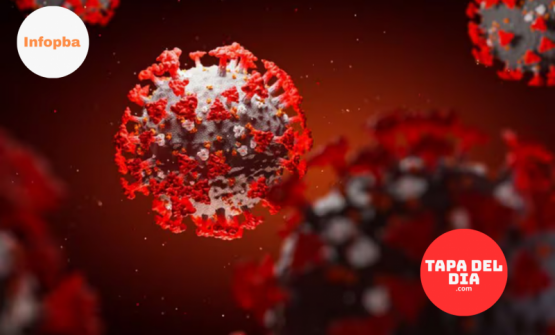 Variante “Frankenstein” de coronavirus detectada en Argentina: qué se sabe hasta ahora
