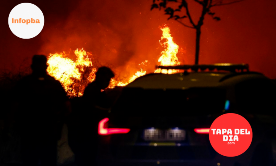 Incendios en España 2025: ya se quemó más bosque que en todo 2024