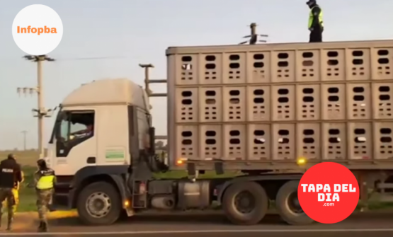 Amplio operativo de prevención vial y policial se desplegó en Mariano H. Alfonzo