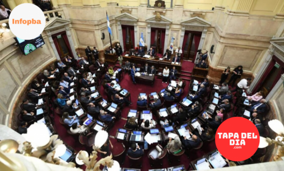 Senado debate hoy proyectos clave: financiamiento a universidades y emergencia pediátrica en hospitales nacionales