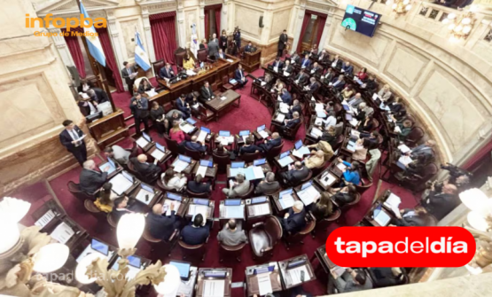 Senado aprueba aumentos para universidades y el Hospital Garrahan: Milei analiza vetos