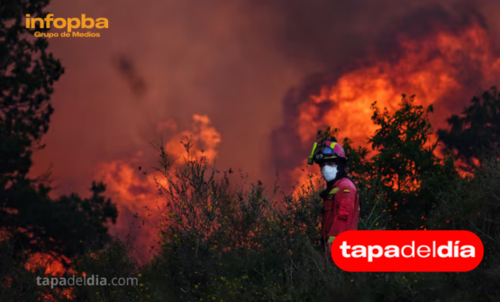 España atraviesa la peor ola de calor de su historia reciente: más de 1100 muertos y miles de hectáreas arrasadas por incendios