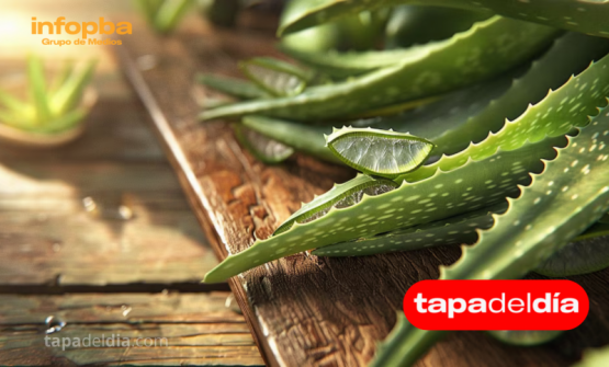 Aloe vera: el secreto natural que revoluciona la rutina facial y protege la piel
