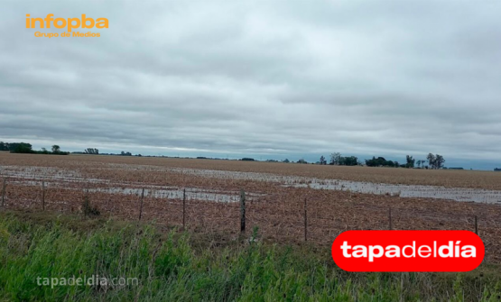 El campo argentino se prepara para una primavera irregular tras la Tormenta de Santa Rosa
