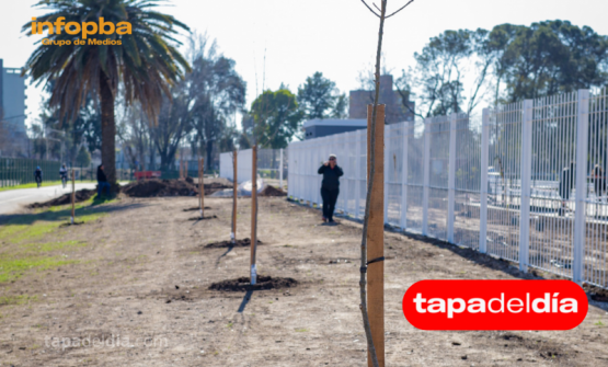 Villa Deportiva y Panorámico de Pergamino suman decenas de nuevos árboles y plantas