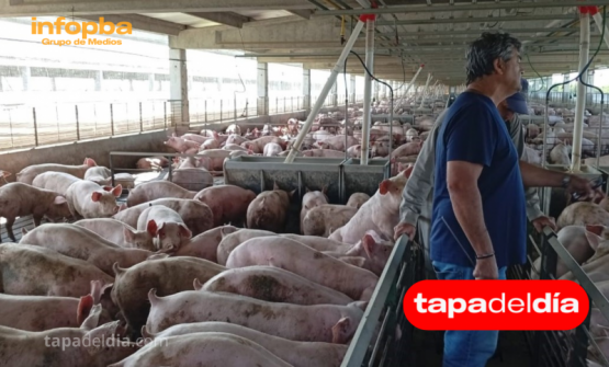 De taller metalúrgico a líder agroindustrial: El Choli revoluciona la ganadería y la producción porcina en Entre Ríos