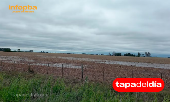 Región pampeana: vuelven lluvias “moderadas a muy abundantes” tras la tormenta de Santa Rosa