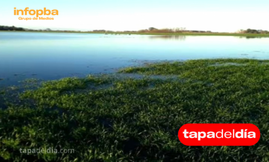 Lluvias récord de agosto generan oportunidades y riesgos inéditos para el agro argentino