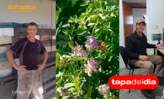 Revolución apícola en Argentina: Julián Dualde produce miel sin antibióticos y marca tendencia