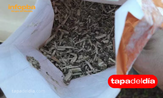 Allanaron un molino clandestino en Misiones: incautan 33.000 kilos de yerba y 150.000 kilos de palitos