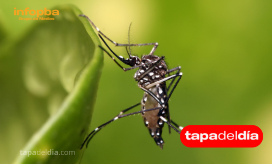 Dengue: alertan a la población sobre cuidados y prevención tras las lluvias
