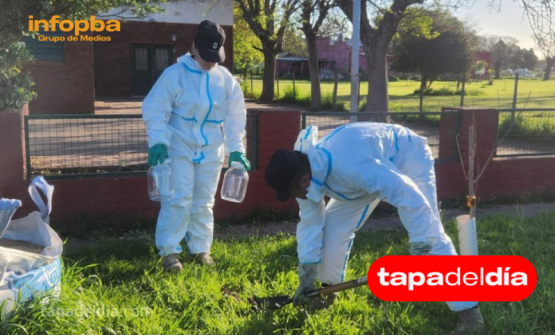 Secuestran avioneta por presunta violación a la prohibición de fumigaciones cerca de escuelas en Pergamino