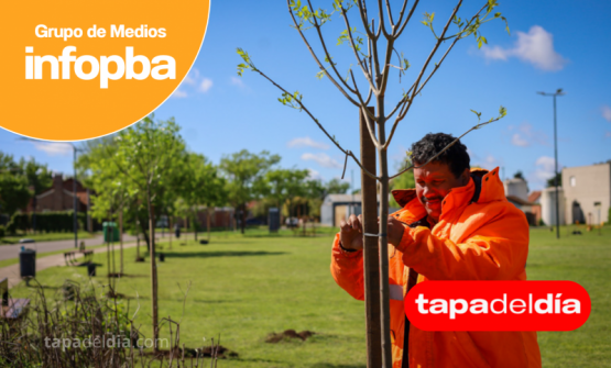 Pergamino refuerza sus espacios verdes: avanzan las reforestaciones en plazas y caniles