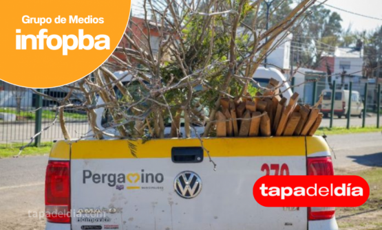 Robaron una motoguadaña de la caja de una camioneta municipal 