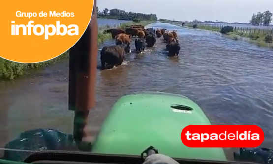 Bragado bajo el agua: más de 50.000 hectáreas inundadas y productores al borde del colapso