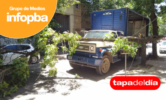 Un camión derribó un árbol en pleno centro y activó un fuerte operativo preventivo sin heridos