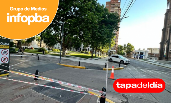 Un apicultor rescató un enjambre en pleno centro de Pergamino y evitó riesgos en la plaza Merced