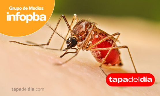 Dengue bajo control, pero en guardia: Pergamino refuerza la vigilancia ante un verano clave