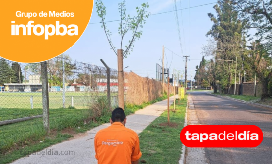 Pergamino fue distinguido a nivel nacional por plantar más de 1.400 árboles y convoca a los vecinos a sumarse