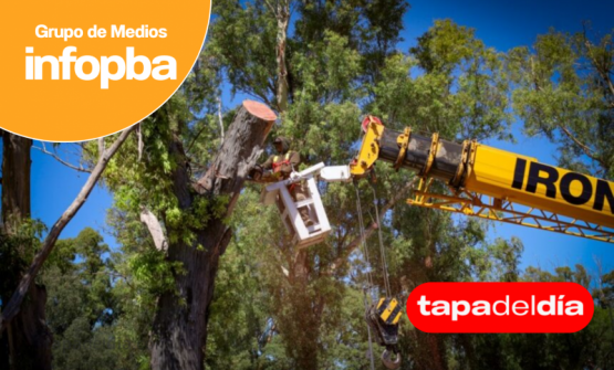 operativo integral de poda preventiva para reforzar la seguridad y preservar el arbolado urbano