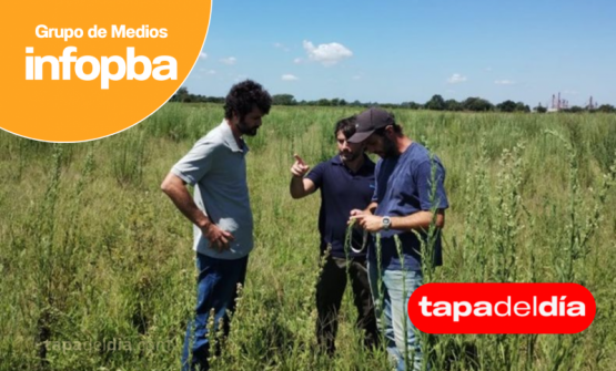 Pergamino enciende el futuro: comenzó la construcción del primer Parque Solar con una inversión histórica de $9.000 millones