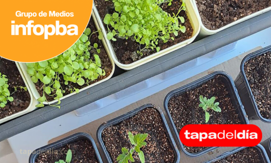 Pergamino impulsa un intercambio sustentable en el Parque España por el Mes del Compostaje