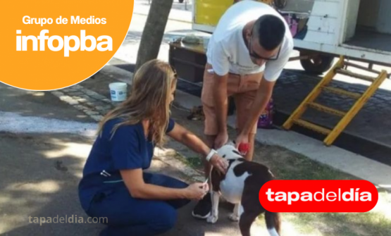 Crece la demanda veterinaria en Pergamino por mayor conciencia en el cuidado animal