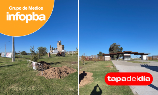 Corte de luz: un accidente en una obra dejó sin servicio a la zona sur