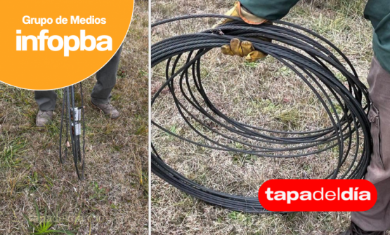 Robo de cables en la zona de UNNOBA e INTA: la Cooperativa Eléctrica reemplaza el tendido por aluminio