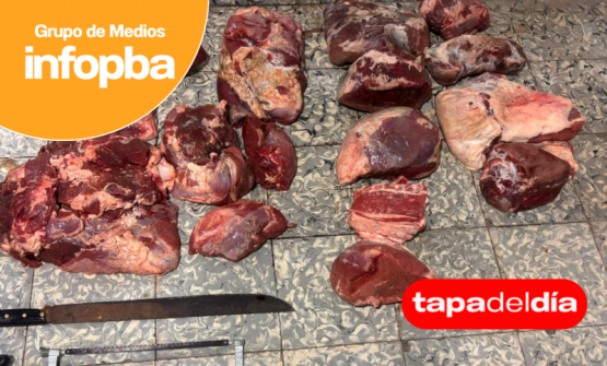 Abigeato en Pergamino: allanamientos del CPR permitieron secuestrar carne, herramientas y cannabis