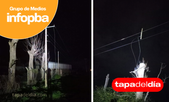 Robaron cables y destrozaron un transformador en avenida Pellegrini: otra vez sin luz